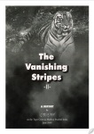 vanishing-stripes-2